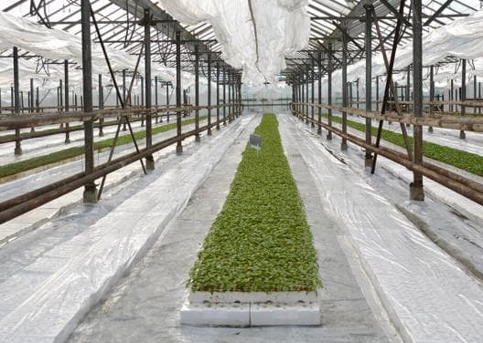 33 MW installés dans une serre écologique et durable